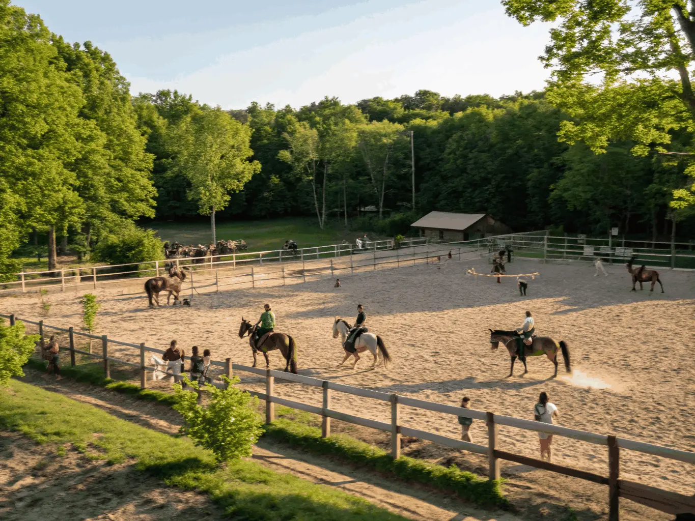 A serene image of leisure and training activities at CAVAL 'AUNIS, showing riders of different skill levels practicing in a well-maintained arena. The image highlights the focus on skill development and enjoyment.