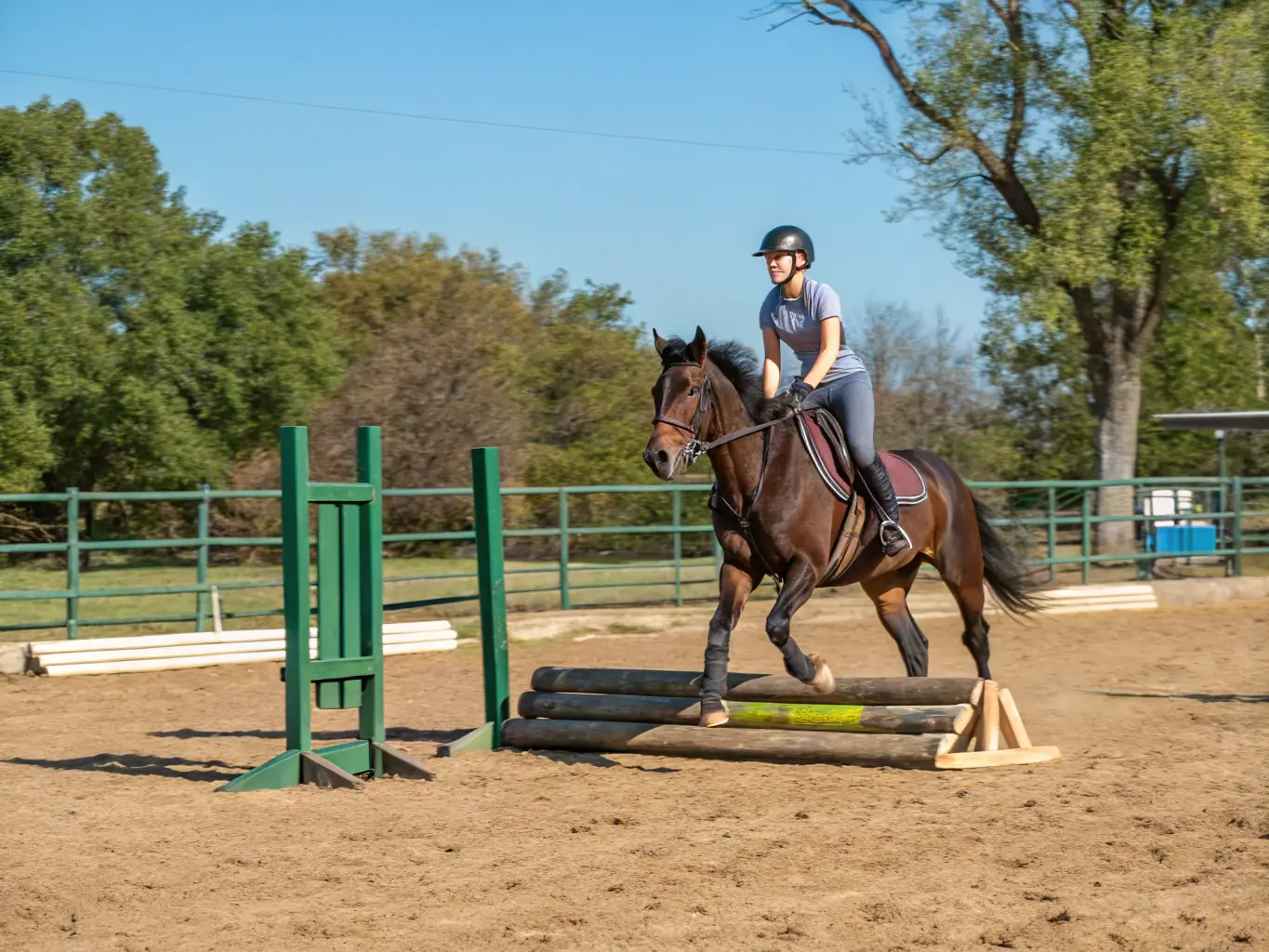 A rider confidently navigating an obstacle course during a CAVAL 'AUNIS' training session.